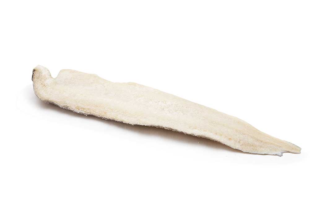 FILETTI LING MOLVA 1000UP FAROESE KG.20 FAO027    