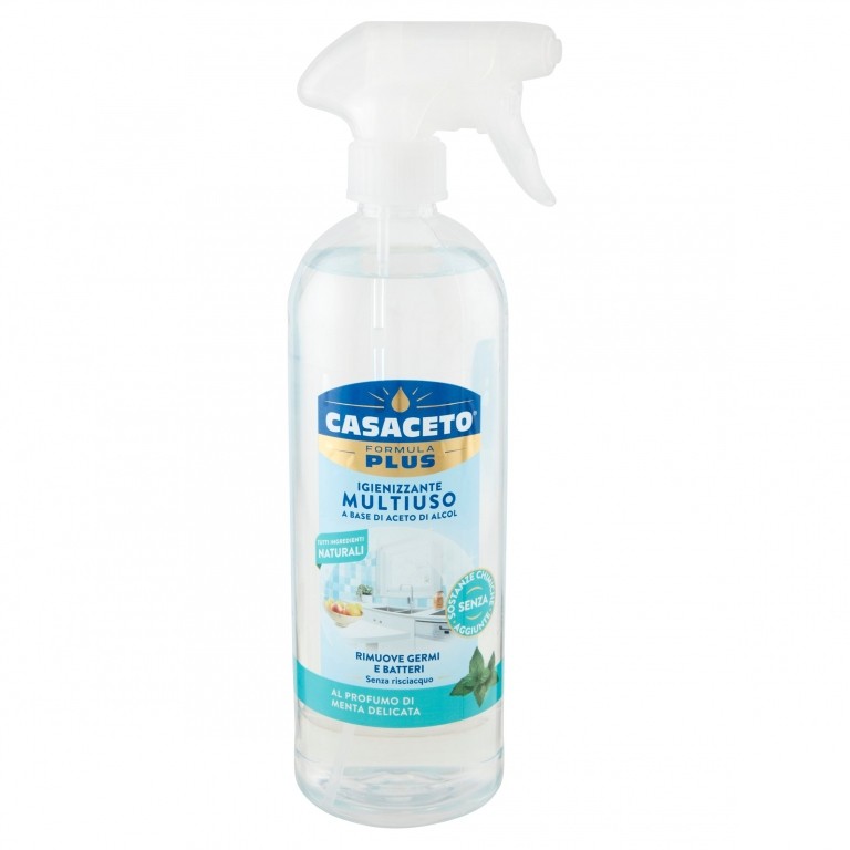 CASACETO MULTIUSO SPRAY MENTA ML750               