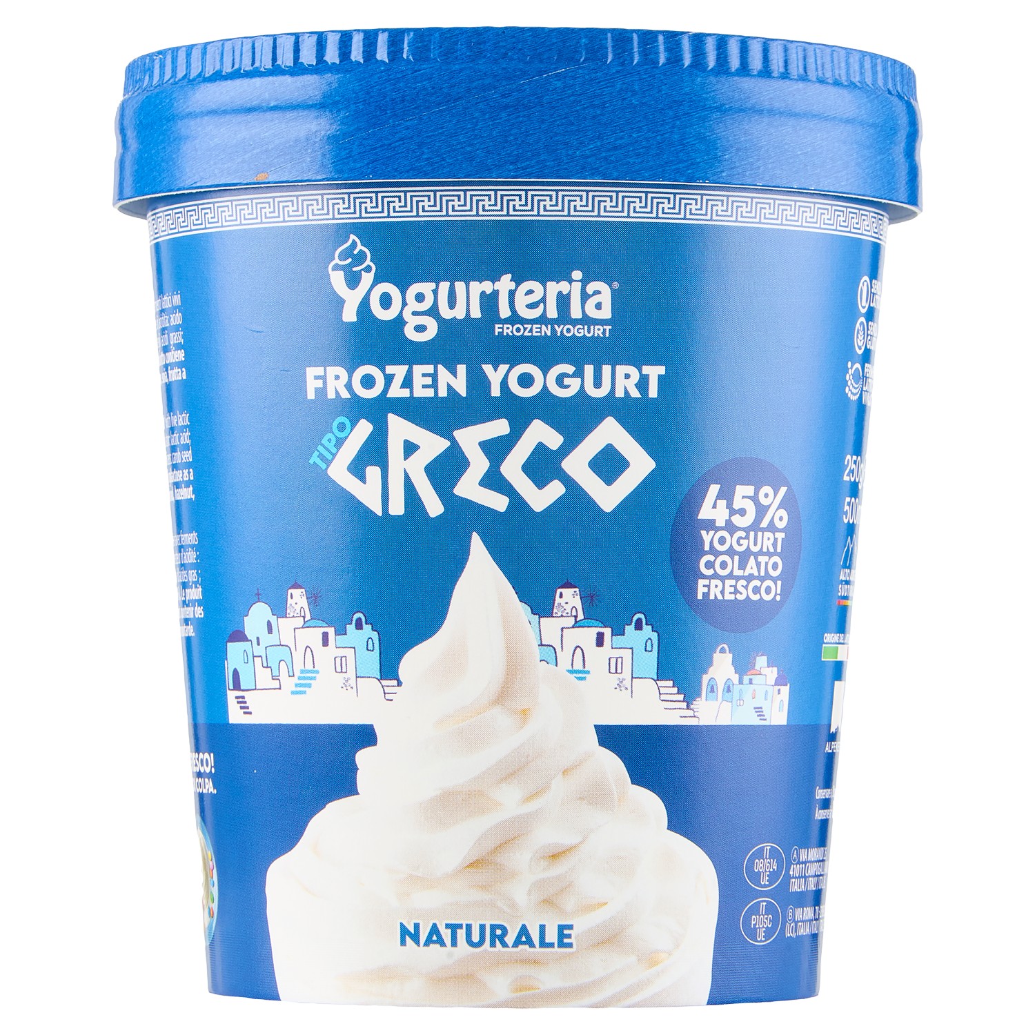YOGURT GRECO NATURALE GELATO YOGURTERIA G250