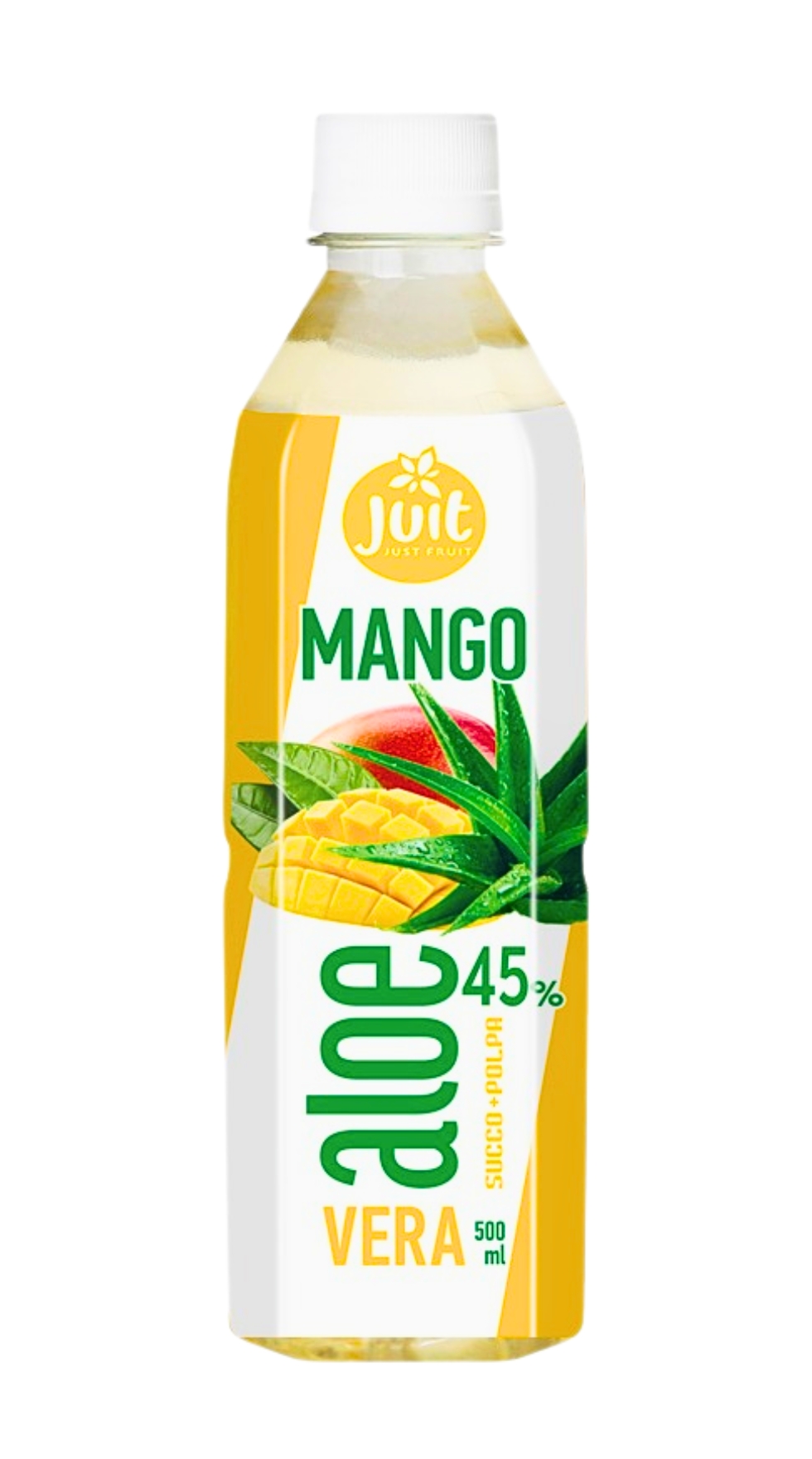 ALOE VERA JUIT MANGO ML.500 PET